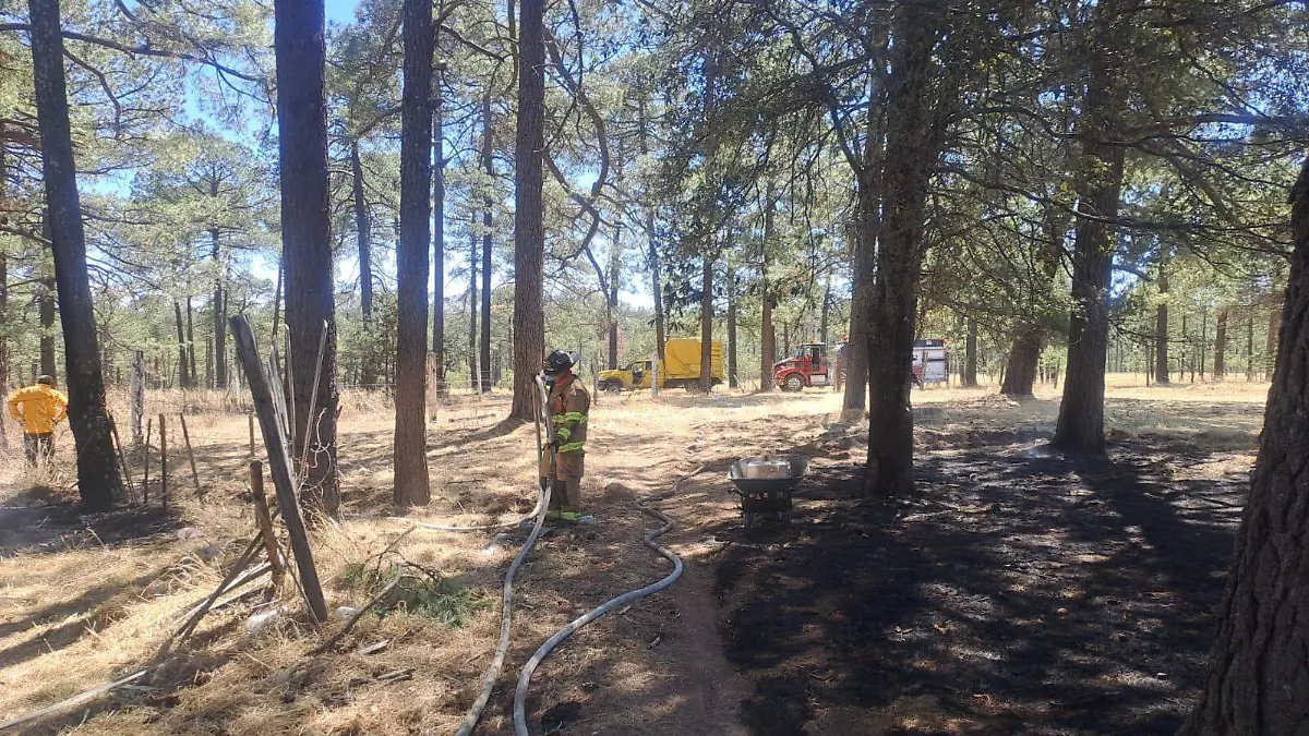 Incendio forestal